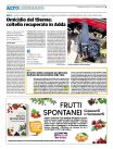 2026 07 14 - Il Cittadino - Al centro estivo di Zelo B.P. una giornata per la prevenzione della vista