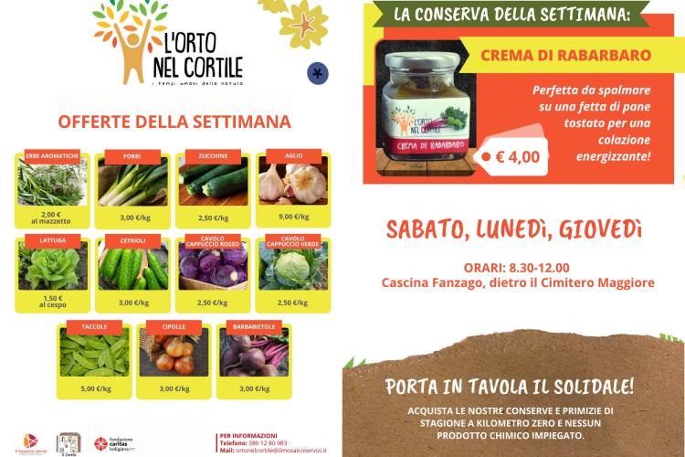 Immagine per Torna l'Orto nel cortile